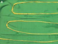 Самый большой червь — описание, особенности и интересные факты Самые большие черви